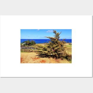 Christmas Tree on Easter Island - Rapa Nui Posters and Art